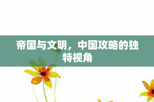 中国攻略的独特视角图片