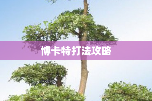博卡特打法攻略图片