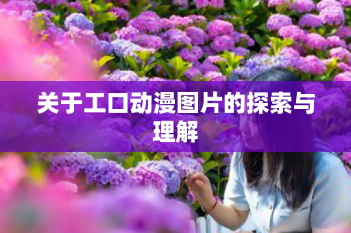 关于工口动漫图片的探索与理解图片