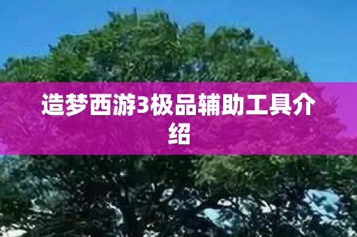 造梦西游3极品辅助工具介绍图片
