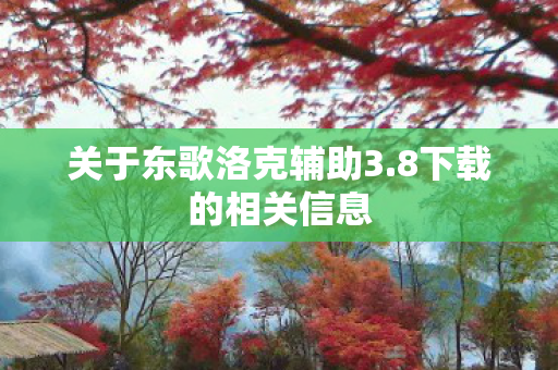 关于东歌洛克辅助3图片