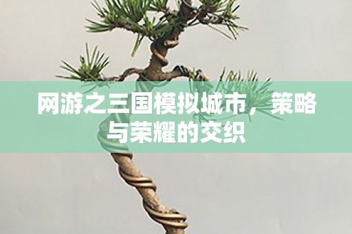 网游之三国模拟城市图片