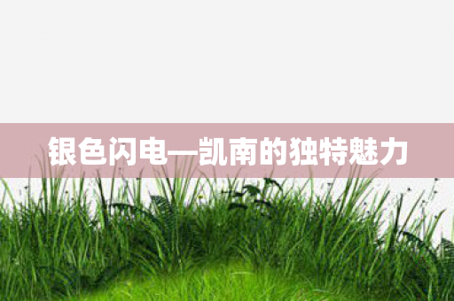 凯南的独特魅力图片
