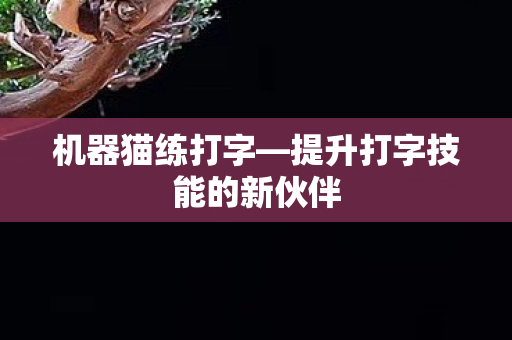 提升打字技能的新伙伴图片