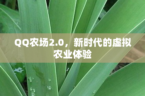 新时代的虚拟农业体验图片