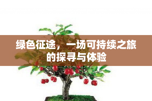 一场可持续之旅的探寻与体验图片