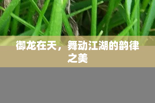 舞动江湖的韵律之美图片