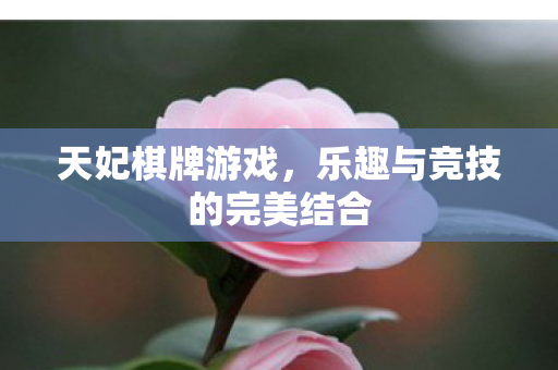 乐趣与竞技的完美结合图片