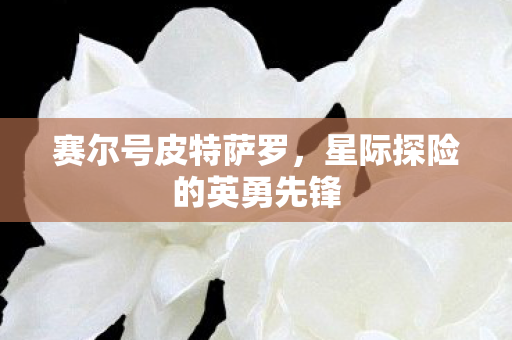星际探险的英勇先锋图片