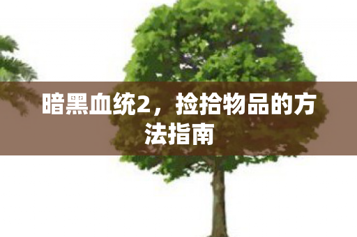 捡拾物品的方法指南图片