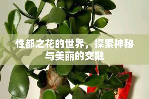 探索神秘与美丽的交融图片