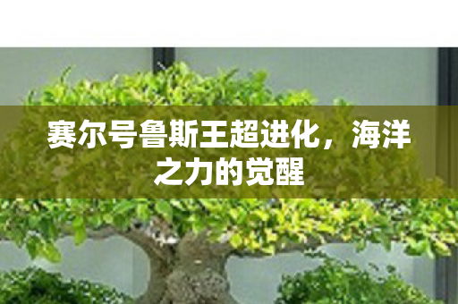 赛尔号鲁斯王超进化图片