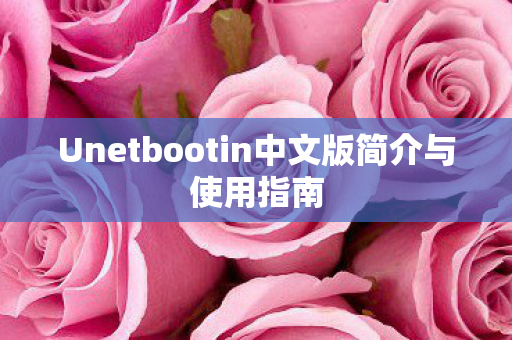 Unetbootin中文版简介与使用指南图片