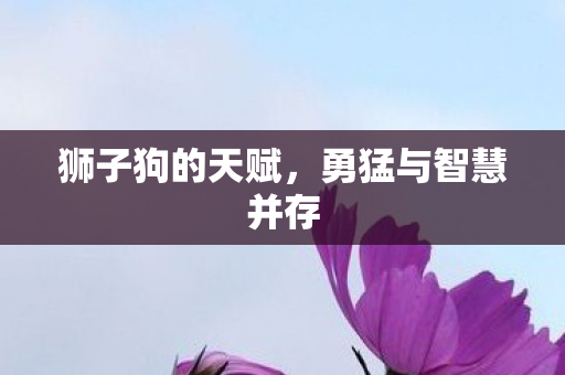 勇猛与智慧并存图片