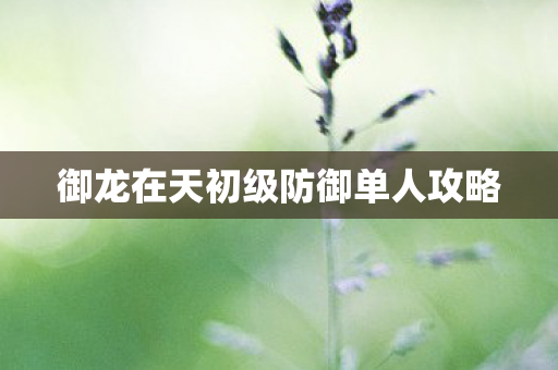御龙在天初级防御单人攻略图片