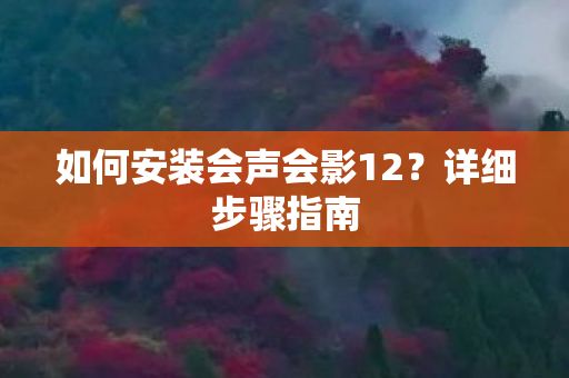 如何安装会声会影12图片