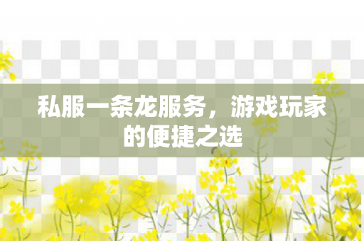 游戏玩家的便捷之选图片