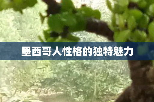 墨西哥人性格的独特魅力图片