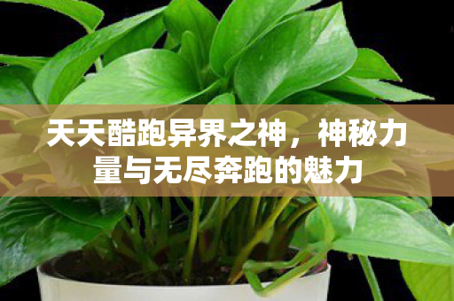 神秘力量与无尽奔跑的魅力图片