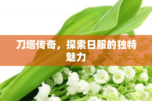 探索日服的独特魅力图片