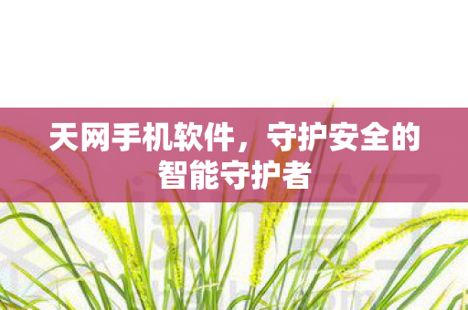 守护安全的智能守护者图片