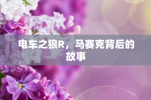 马赛克背后的故事图片