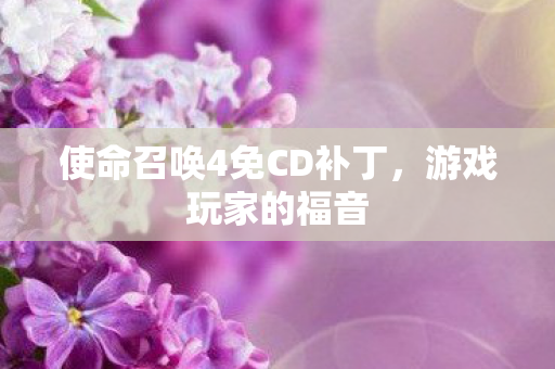 使命召唤4免CD补丁图片