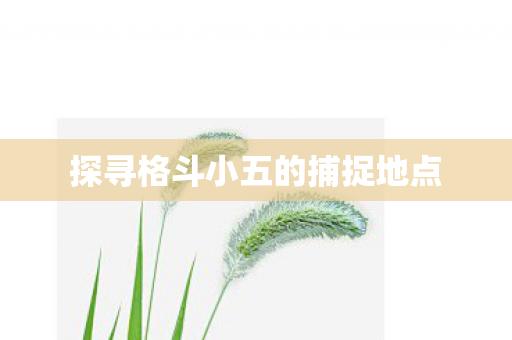 探寻格斗小五的捕捉地点图片