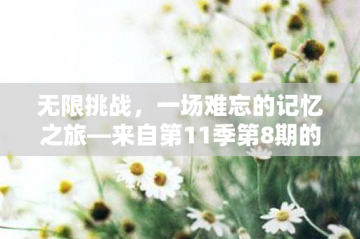 来自第11季第8期的挑战之旅图片