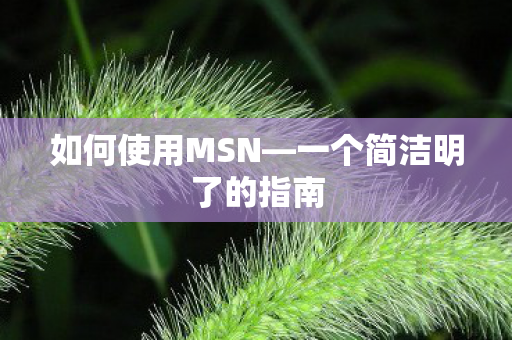 一个简洁明了的指南图片