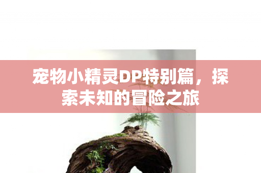 宠物小精灵DP特别篇图片