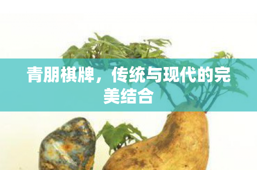 传统与现代的完美结合图片
