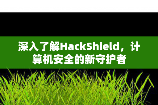 深入了解HackShield图片