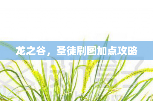 圣徒刷图加点攻略图片