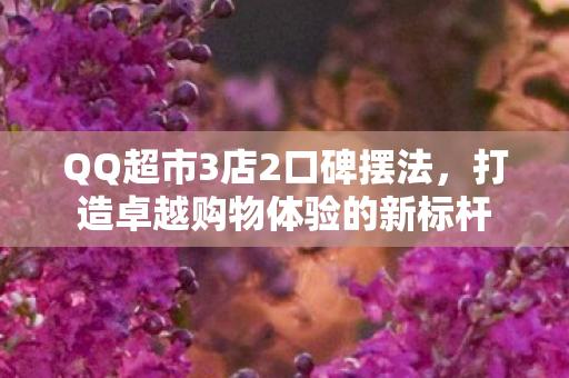 打造卓越购物体验的新标杆图片