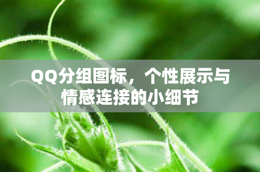 个性展示与情感连接的小细节图片