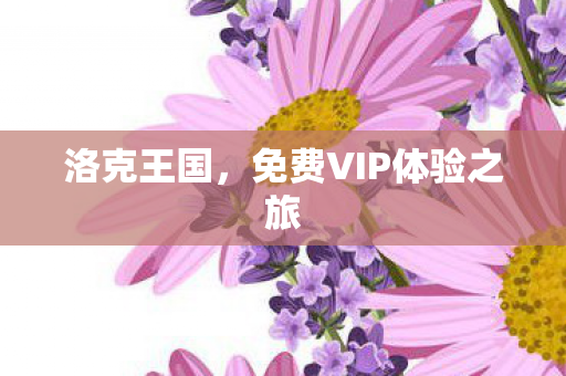 免费VIP体验之旅图片