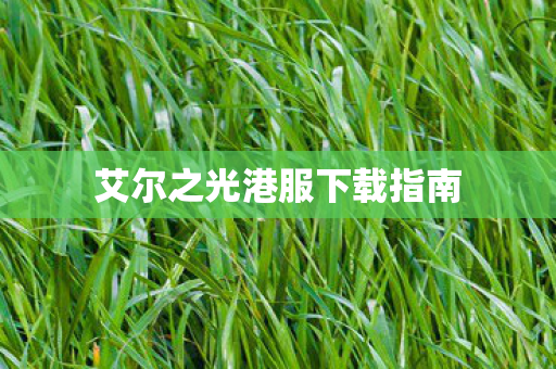 艾尔之光港服下载指南图片