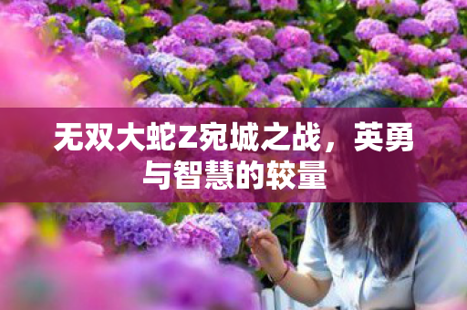 无双大蛇Z宛城之战图片