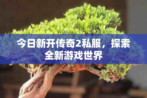 今日新开传奇2私服图片