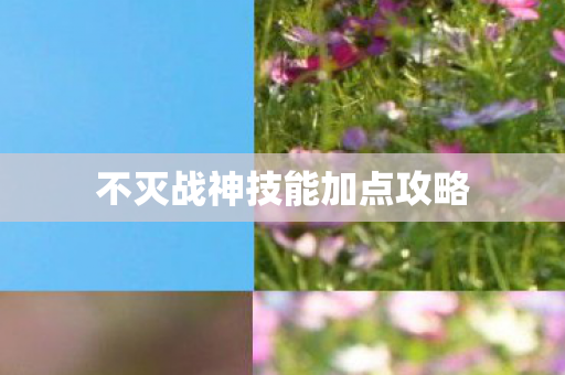 不灭战神技能加点攻略图片
