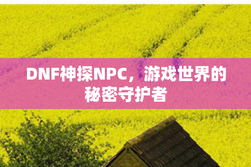 游戏世界的秘密守护者图片