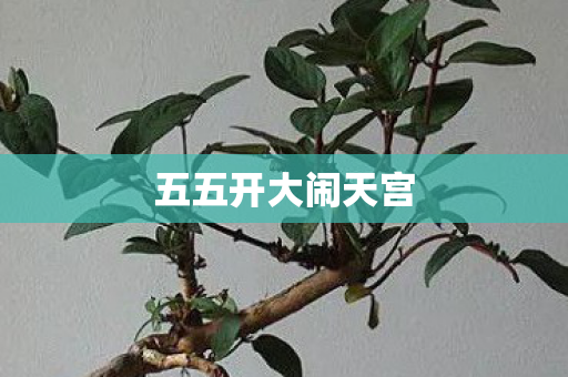 五五开大闹天宫图片