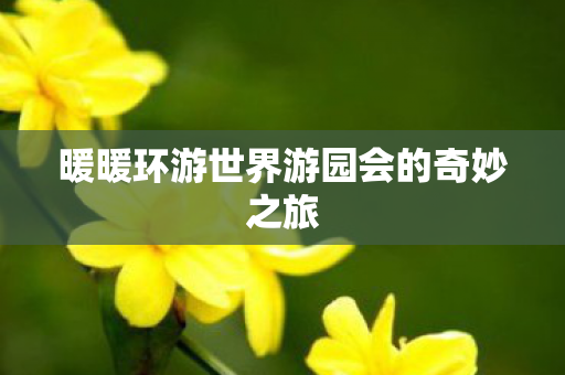 暖暖环游世界游园会的奇妙之旅图片