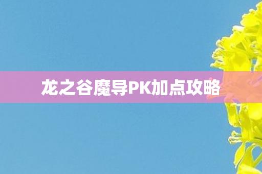 龙之谷魔导PK加点攻略图片