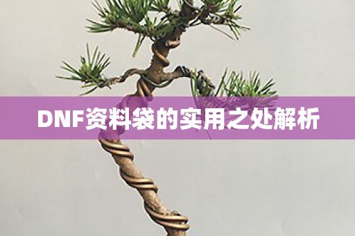 DNF资料袋的实用之处解析图片