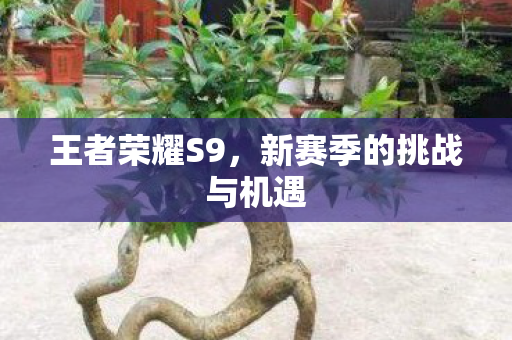 新赛季的挑战与机遇图片