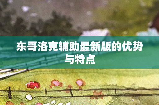 东哥洛克辅助最新版的优势与特点图片
