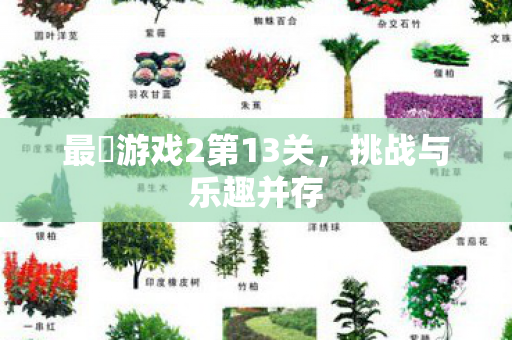 最囧游戏2第13关图片