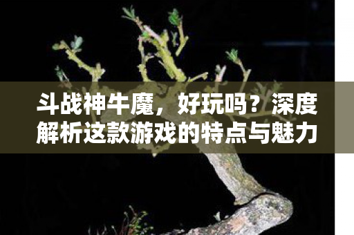 深度解析这款游戏的特点与魅力图片